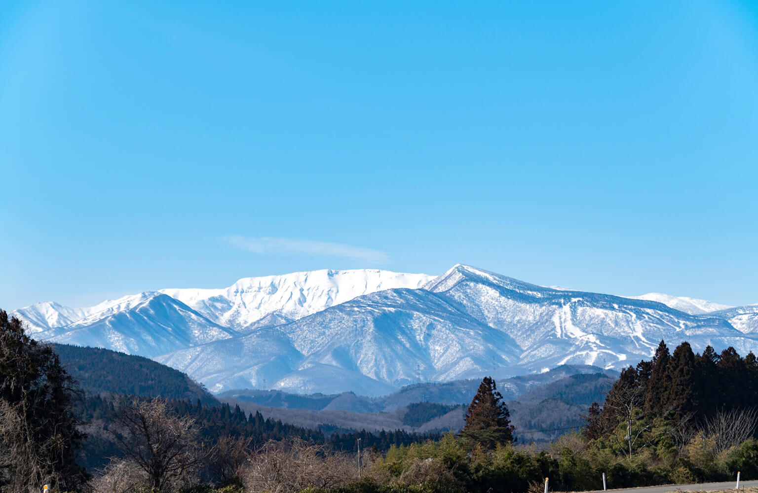 佐々木さんが手をかけて育てるさつまいもの畑