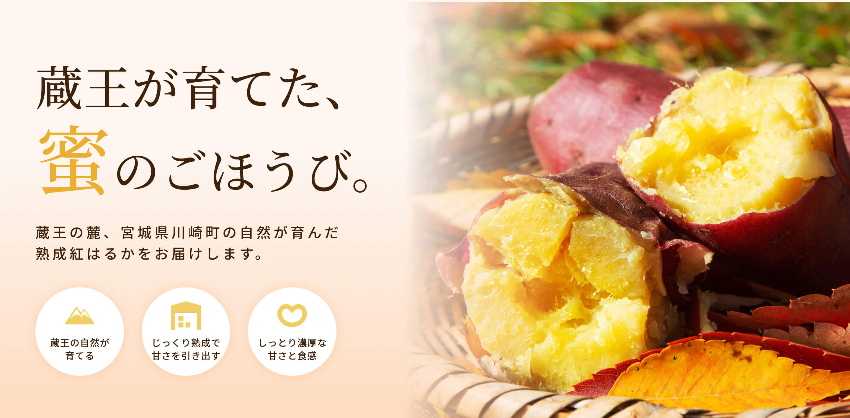 宮城県川崎町産の熟成紅はるかを使用した蜜たっぷりの焼き芋