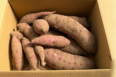 熟成紅はるか 2kg（S・Mサイズ混合・一人暮らし向け・訳あり品）