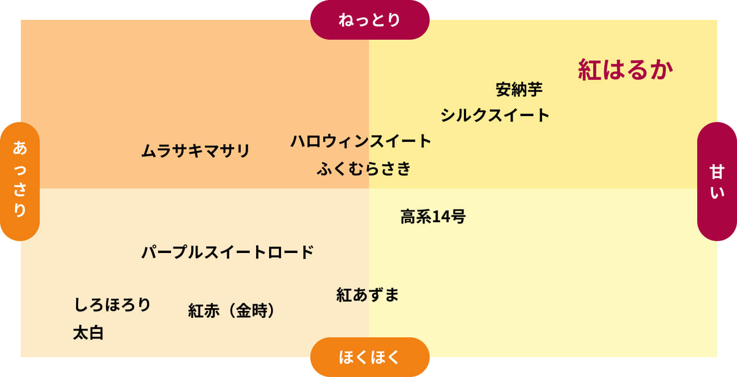 蔵王連峰のふもとに広がる宮城県川崎町の畑