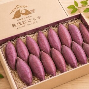 熟成紅はるか 5kg ギフトLサイズ
