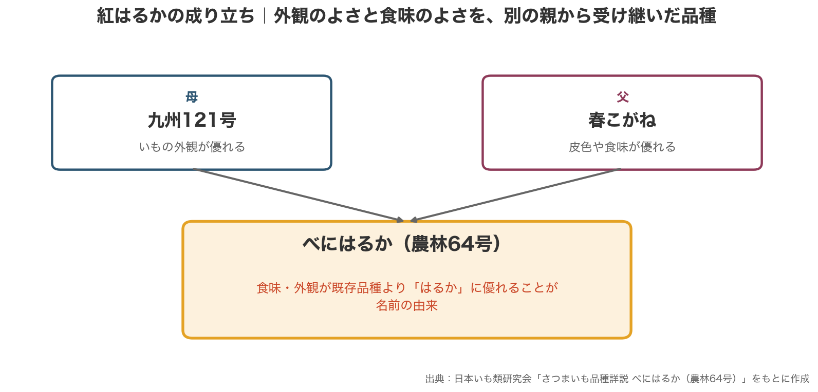 紅はるかの交配図。母は「九州121号」、父は「春こがね」、生まれた品種が「べにはるか(農林64号)」