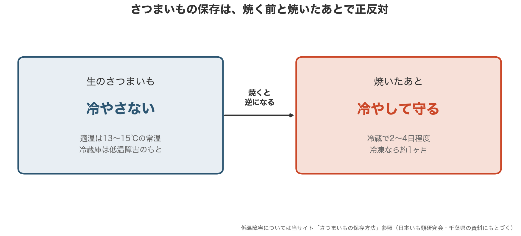 さつまいもの保存は焼く前と焼いたあとで正反対。生の芋は冷やさない、焼いた芋は冷やして守る