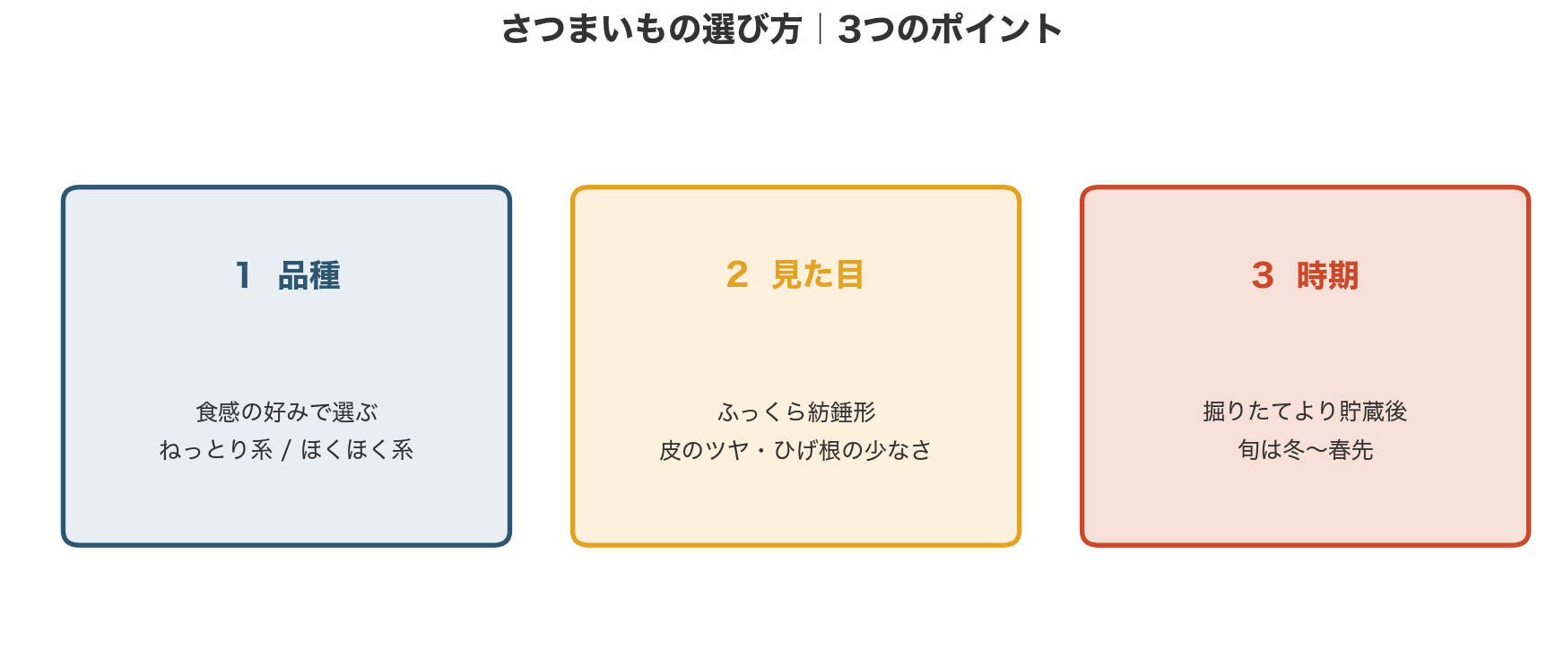 さつまいもの選び方の3つのポイント。品種は食感の好みで、見た目はふっくら紡錘形と皮のツヤ、時期は掘りたてより貯蔵後
