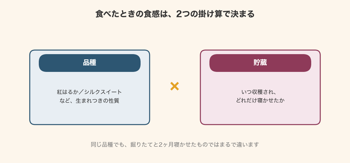 さつまいもの食感は品種と貯蔵の掛け算で決まることを示した図