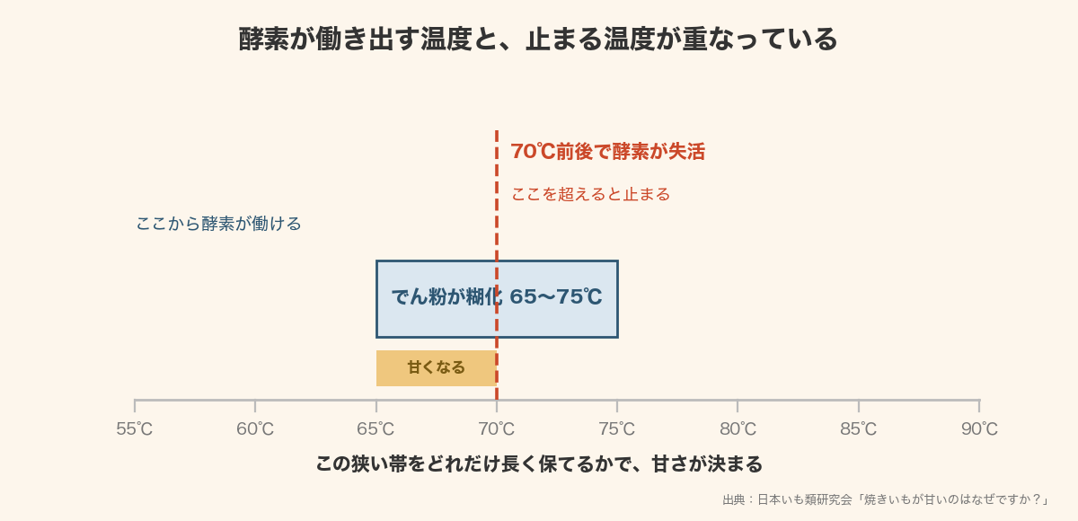 でん粉が糊化する65〜75℃と、β-アミラーゼが失活する70℃前後が重なっていることを示した図