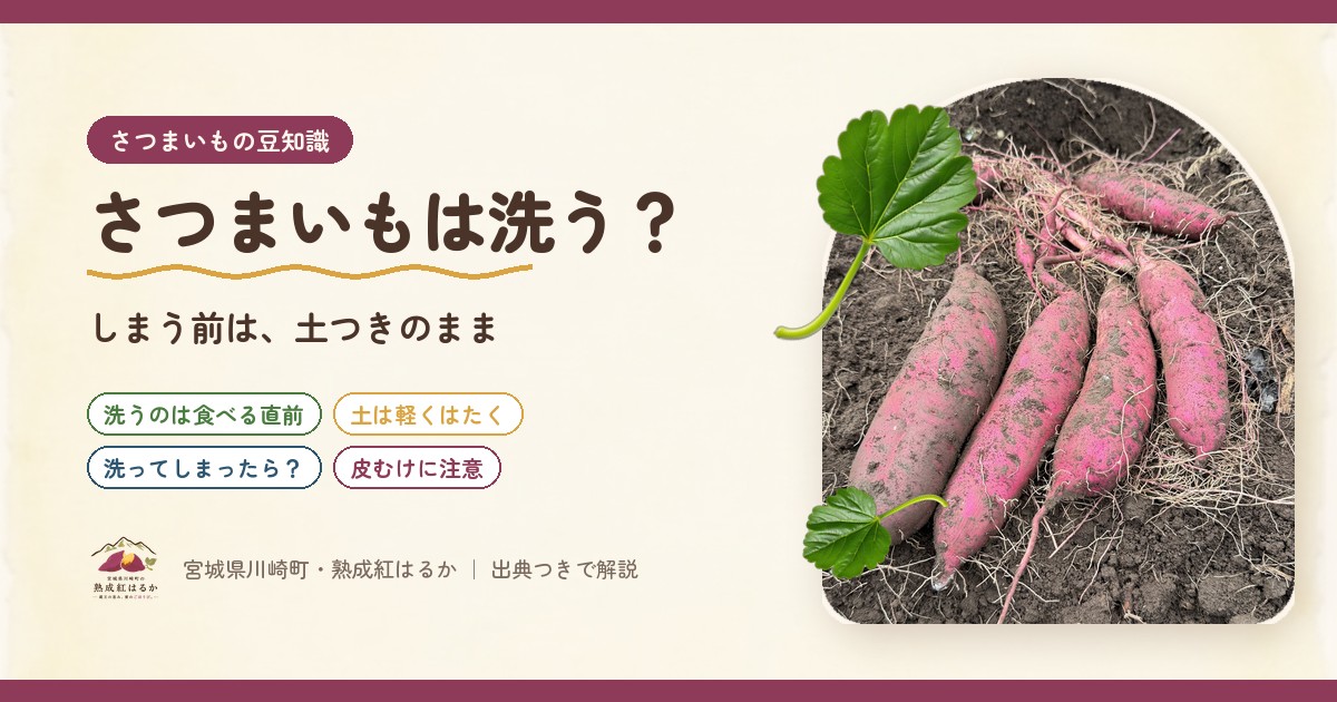 さつまいも通販｜蔵王の麓・宮城川崎町の熟成紅はるかを宮城から全国へお届け