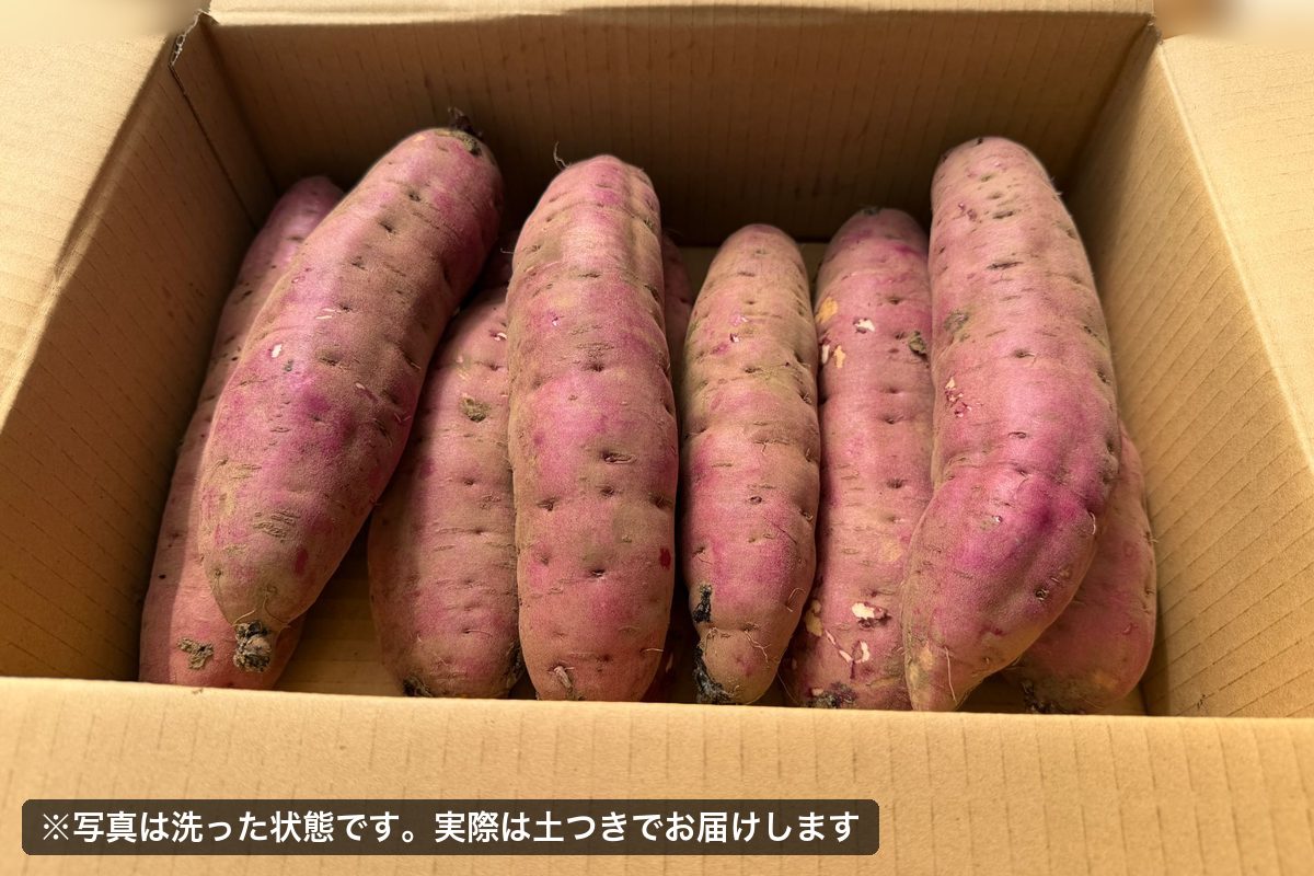 熟成紅はるか 5kg 正規品2Lサイズ（写真は洗った状態、実際は土つき）