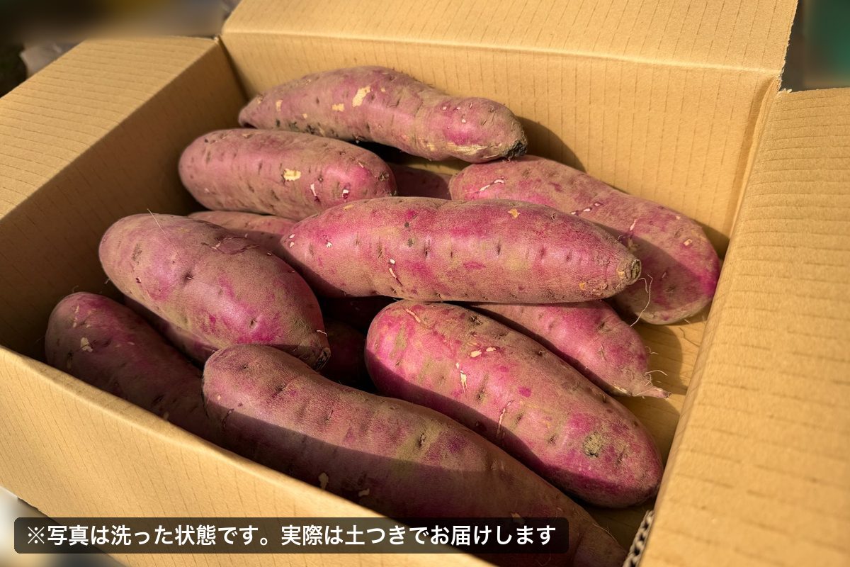 熟成紅はるか 5kg 正規品Lサイズ（写真は洗った状態、実際は土つき）